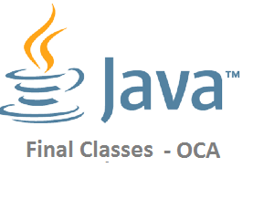 final class java