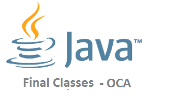 final class java