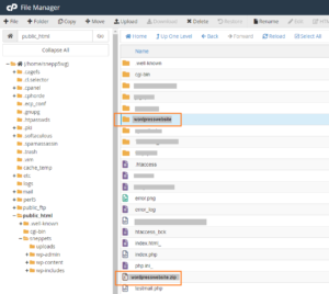 Manually Backup WordPress Site using cPanel Bluehost File Manager