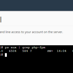 PHP FPM - Check if Installed and Running