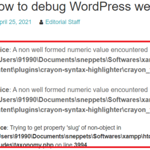 how to enable debugging in wordpress website