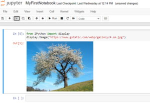 insert add embed image in jupyter notebook from image URL