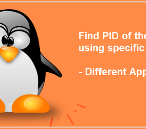 Find the PID of the process that is using specific port